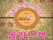 솔루션 사용사이트